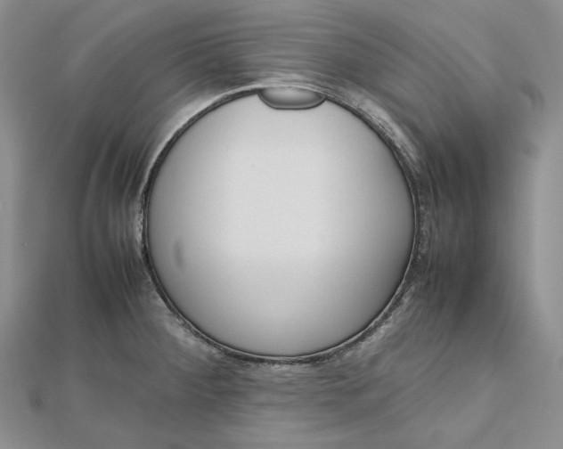 X0000112491284200908311424