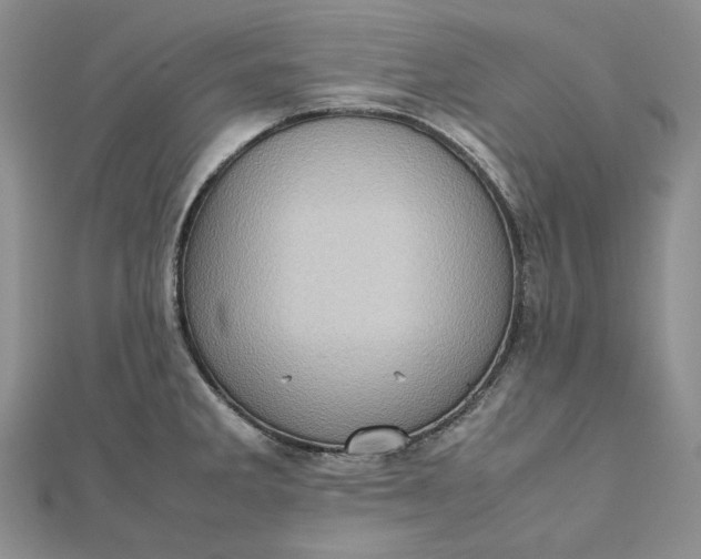 X0000112491285200908311424