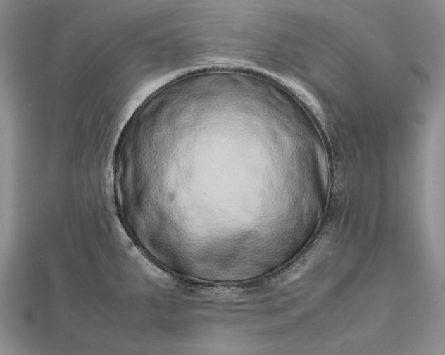 X0000112491287200908311424