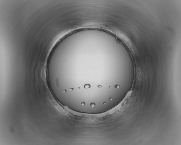 X0000112491288200908311424