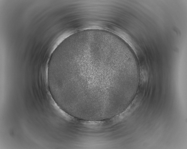 X0000112491290200908311424