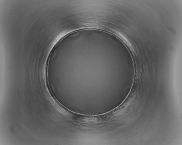 X0000112491291200908311424