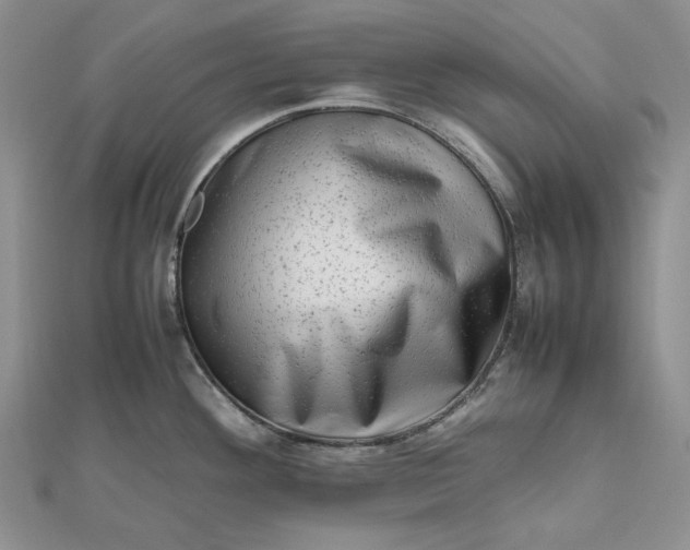 X0000112491292200908311424