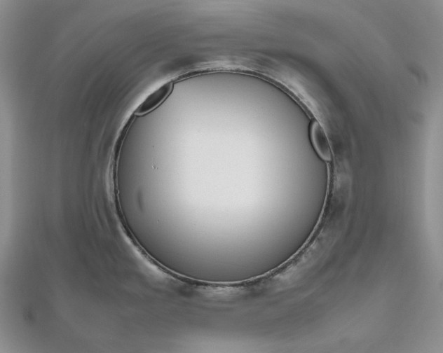 X0000112491293200908311424