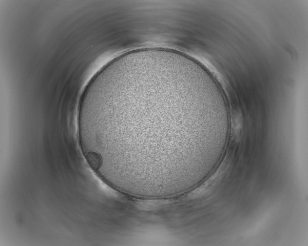 X0000112491294200908311424