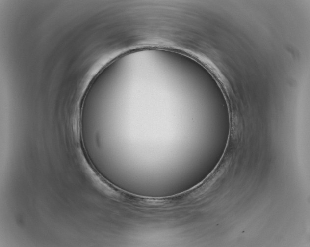 X0000112491295200908311424