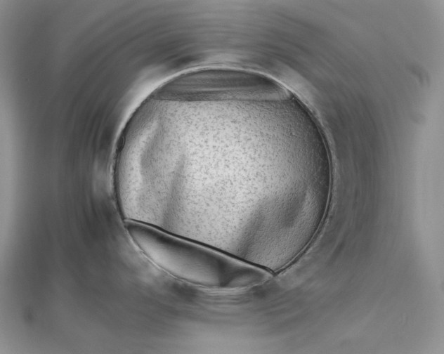 X0000112491296200908311424