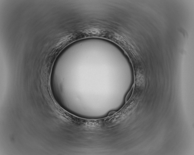 X0000112491297200908311423