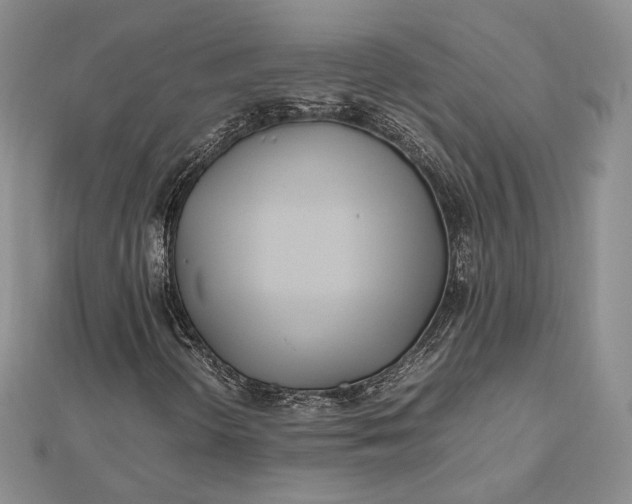 X0000112491298200908311423