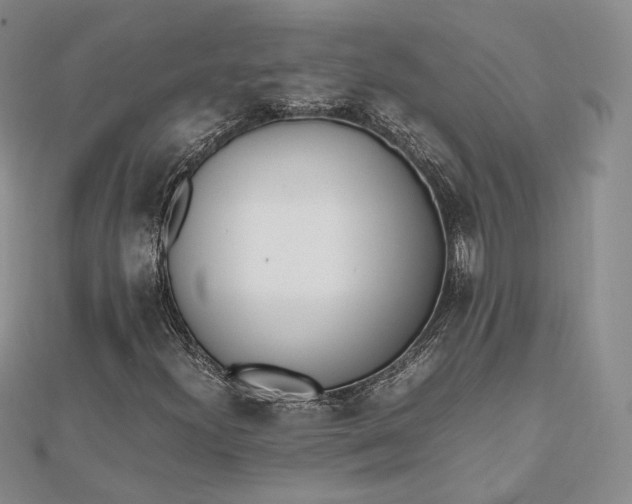 X0000112491300200908311423