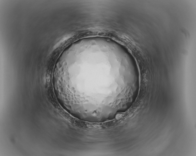 X0000112491302200908311423