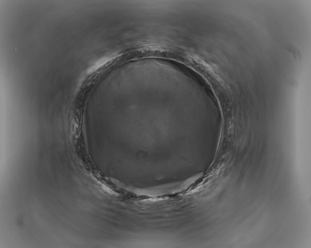 X0000112491303200908311423