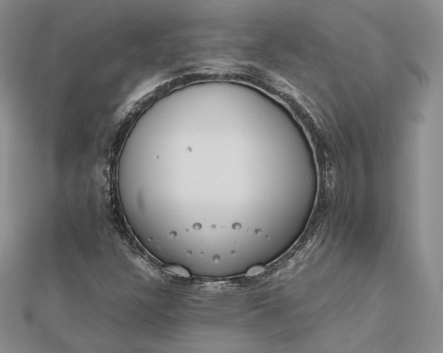 X0000112491304200908311423