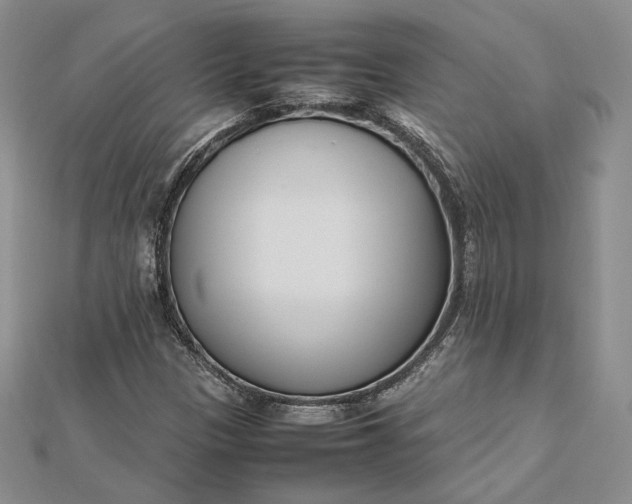 X0000112491305200908311423