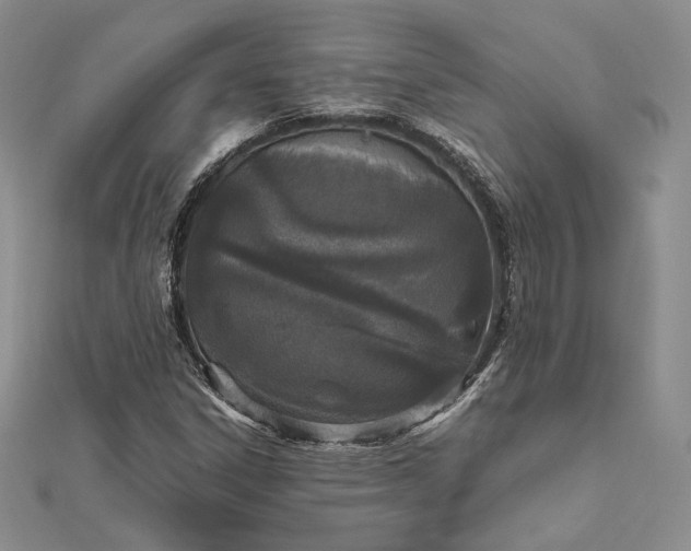 X0000112491306200908311423