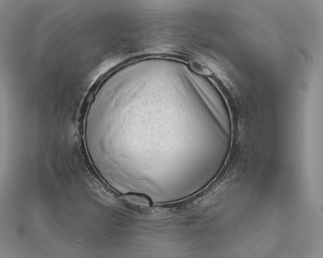 X0000112491308200908311423