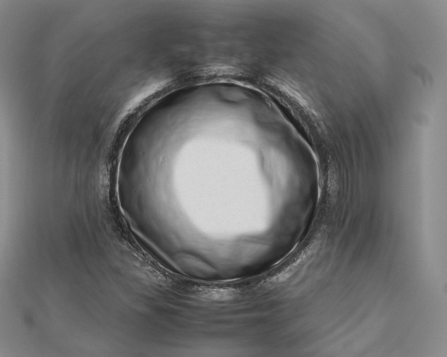 X0000112491309200908311423