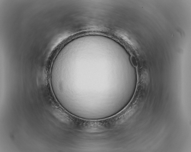 X0000112491310200908311423