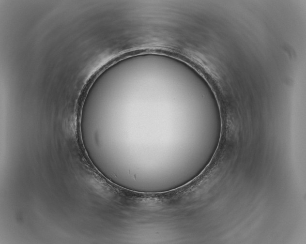 X0000112491316200908311424