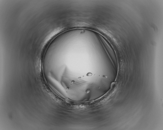 X0000112491317200908311424