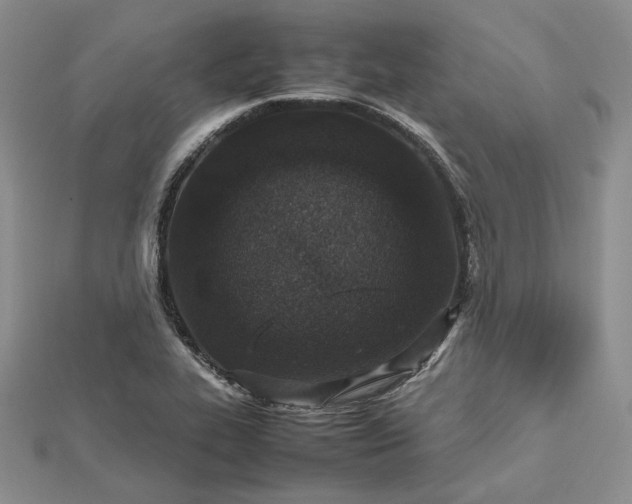 X0000112491319200908311424