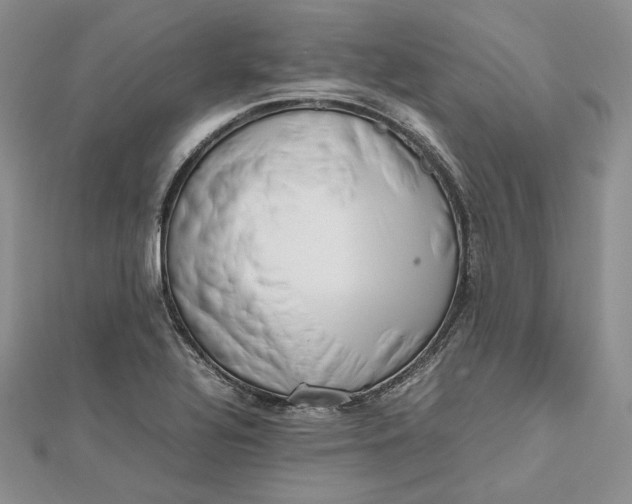 X0000112491320200908311424