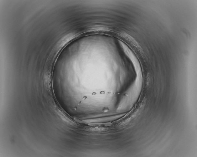 X0000112491321200908311424