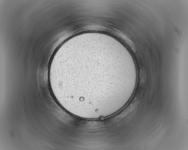 X0000112491322200908311424