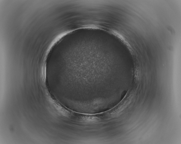 X0000112491323200908311424