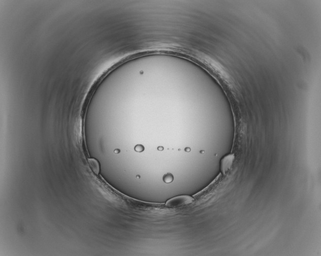 X0000112491324200908311424