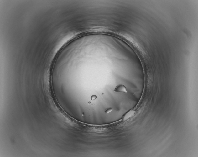 X0000112491325200908311424