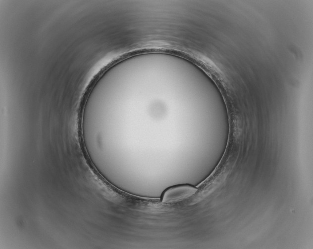 X0000112491326200908311424