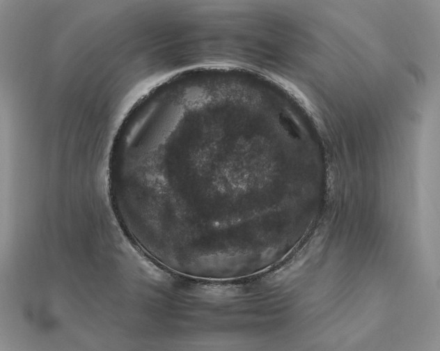 X0000112491327200908311424