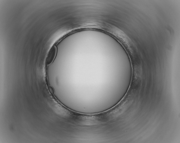 X0000112491328200908311424