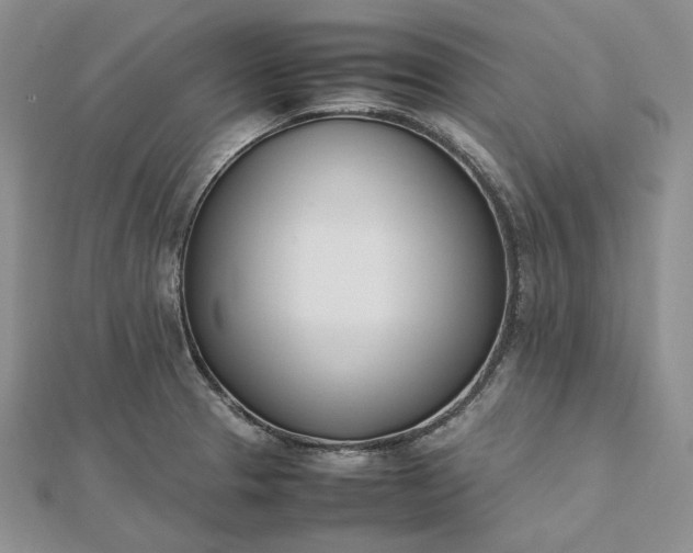 X0000112491329200908311424