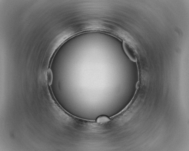 X0000112491330200908311424