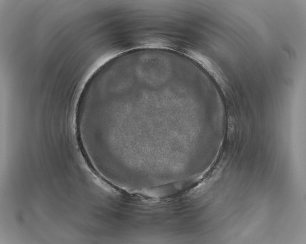 X0000112491331200908311424