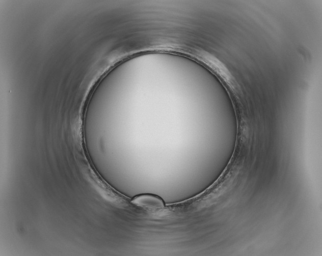 X0000112491332200908311424