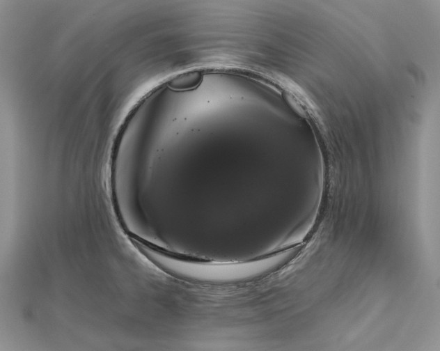 X0000112491334200908311424