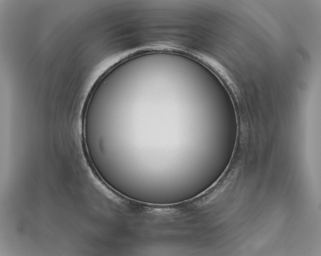 X0000112491335200908311424