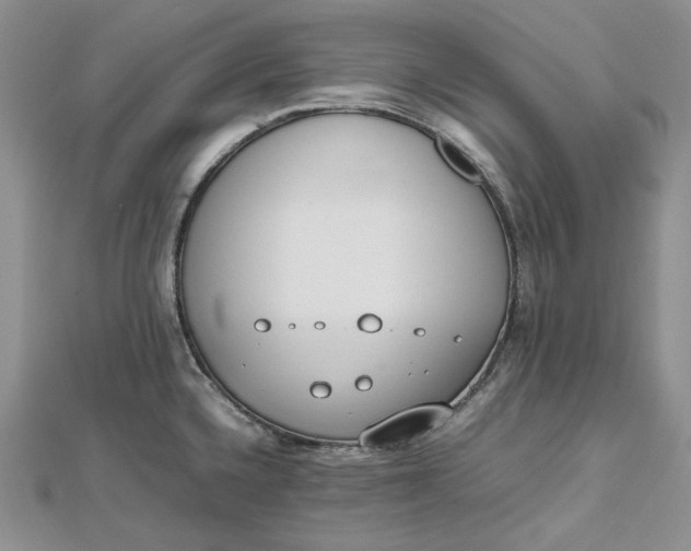 X0000112491336200908311424