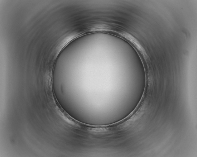 X0000112491337200908311424