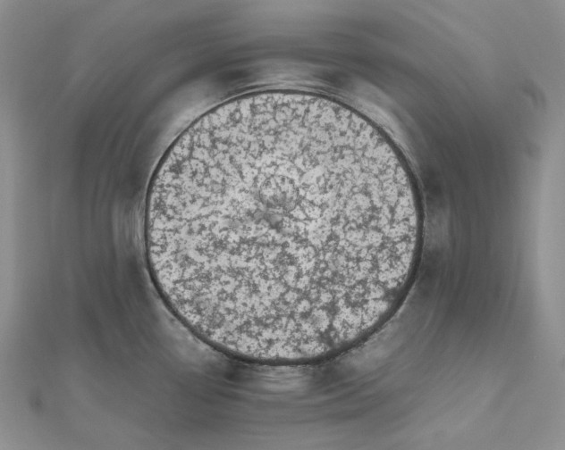 X0000112491338200908311424