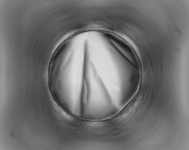 X0000112491341200908311424