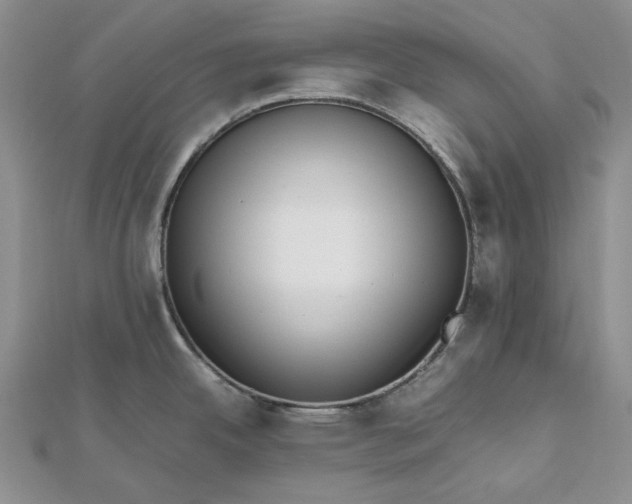 X0000112491342200908311424