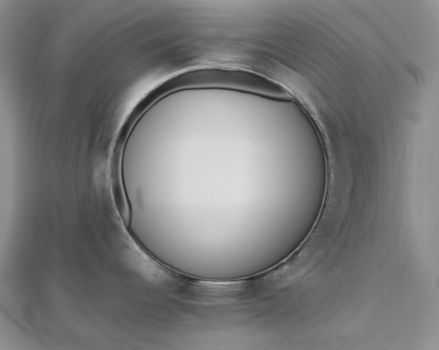 X0000112491344200908311424