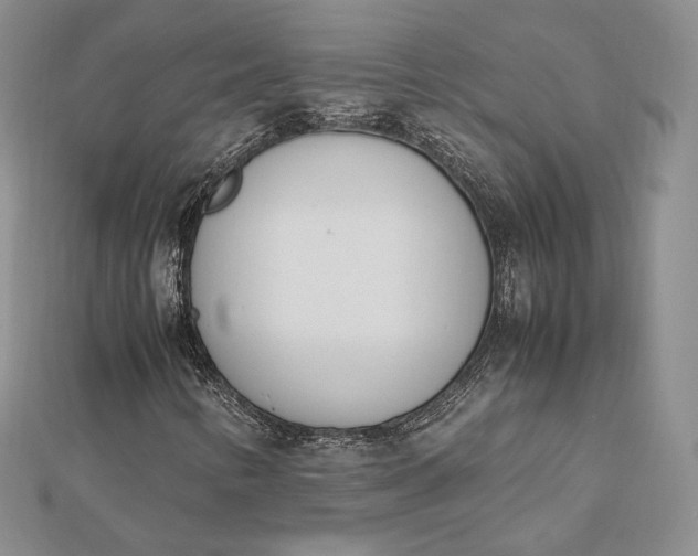 X0000112491346200908311423