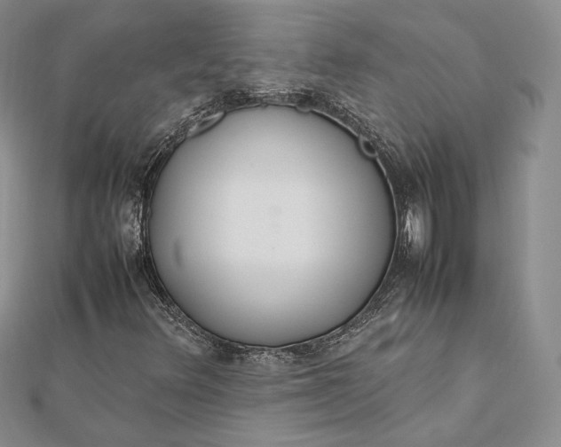 X0000112491348200908311423