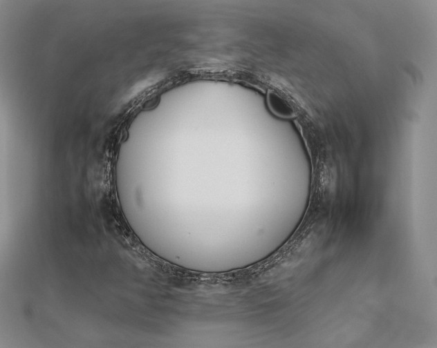 X0000112491350200908311423