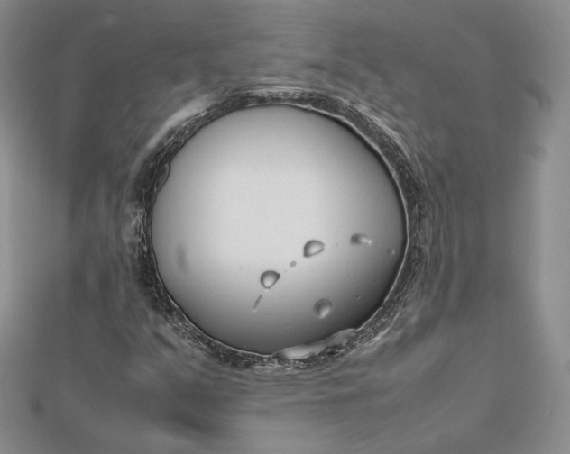 X0000112491351200908311423